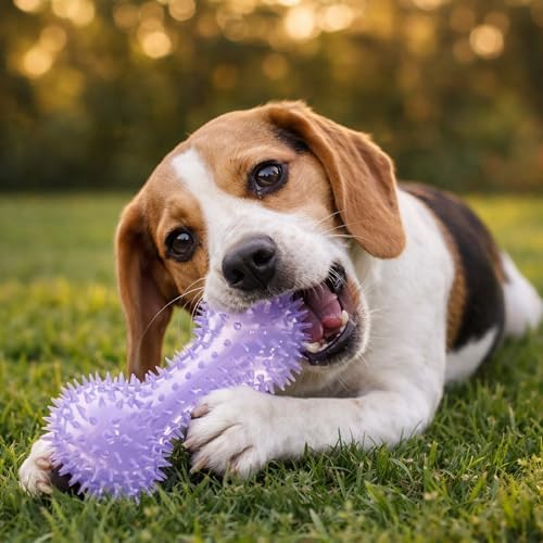 Squeaky Spiky Dog Bone Toy for Teeth Cleaning & Gum Massage 4.4 Inch Small Medium Dogs Purple | Spiny TPR Rubber Chew Toy for Fetch Play Interactive Bouncy Dental Bone Durable BPA Free Nontoxic Floats