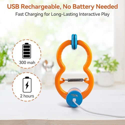 ALL FOR PAWS Interactive Cat Toy for Indoor Cats, Automatic Door Hanging Feather Wand Toy, USB Rechargeable Self-Playing Cat Toys for Adult Cats & Kittens, Boredom Relief & Enrichment