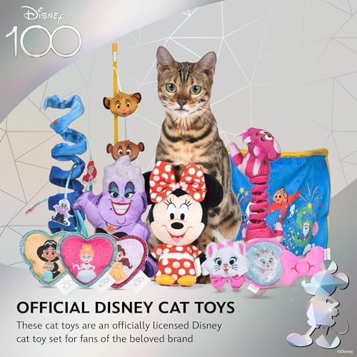 Disney for Pets Aladdin Genie Catnip Coil Cat Toy, 9 Inch