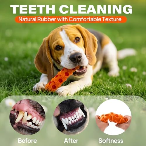 Fida 2-in-1 Puppy Teething Toys, Natural Rubber Chew Toys for Dogs, Carrot