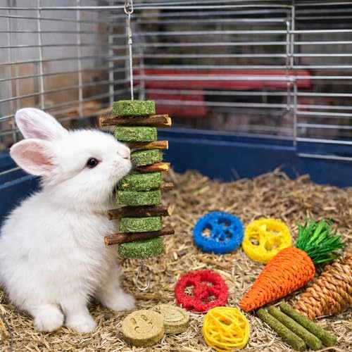 Grddaef 20 PCS Bunny Chew Toys for Teeth, Natural Rabbit Toys Apple Wood Grass Timothy Sticks Chew and Treat for Guinea Pigs Hamster Chinchillas