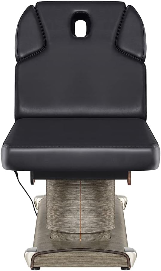 Dir Full Electric Medical Spa Treatment Massage Table Facial Beauty Bed LUXI