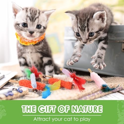 TINDTOP Cat Chew Toys, 6 Pack Silvervine Catnip Sticks for Kittens