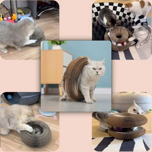 SREBAY Cat Toy Interactive, Accordion Kitty Wheel Exerciser