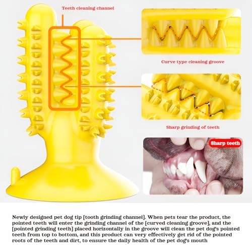 lilaBelle]【Cactus Dog Toy New Dental Stick for Dogs - Teeth Cleaning & Stress Relief Chew with Sound, Treat Dispenser, TPR Safe Material, Sizes Dogs, Home/Park/Garden (Saudi Pets)