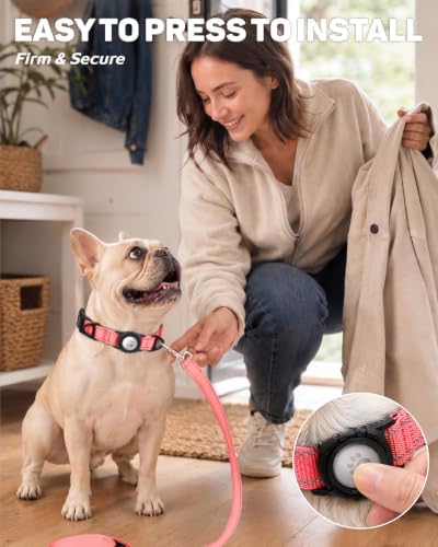 Padded Dog Collar with Waterproof Holder Compatible with Airtag