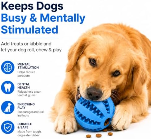 3-in-1 Dog Lick Mat & Slow Feeder Bundle with Treat Dispensing Ball, Interactive Feeding Bowl, Anxiety Relief Pet Feeding Toys, Washable Puzzle Feeding Set for Dogs