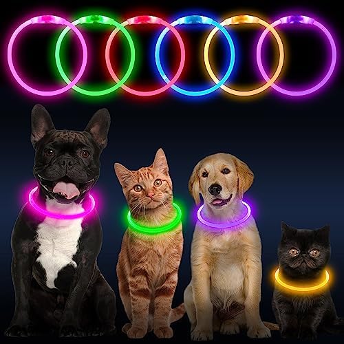 Flashseen LED Dog Collar, USB Rechargeable Glow Lighted up Collar, Purple