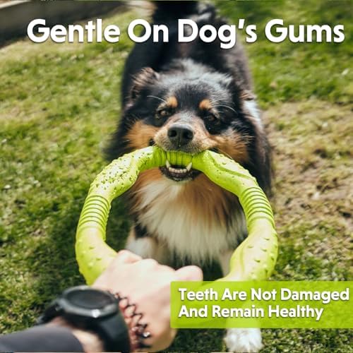 LaRoo Dog Toys for Medium/Large Dogs, Floatable Dog Flying Discs 3 Sizes Pool Toy, Interactive and Tug of War Ring Toy, Funny Fetch Teething Toys (Green, 11.8“)