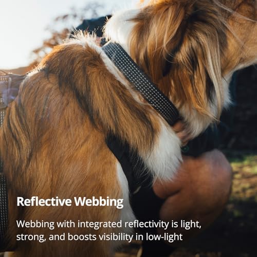 Ruffwear, Ridgeline Dog Collar, Magnetic Buckle, Obsidian Black, 14"-20"