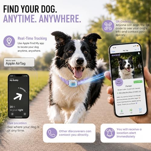 AirTag Dog Collar with QR Code ID, Collar with Air Tag Holder, Purple, S