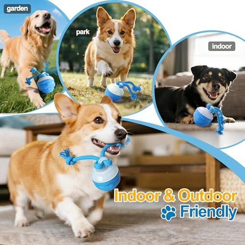 Interactive Dog Ball, Blue USB-C Rechargeable Rolling Toy