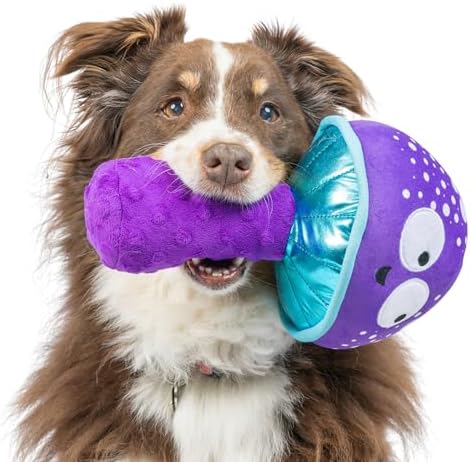 Huxley & Kent Power Plush Squeaky Dog Toy, Mellow Mushroom, Large