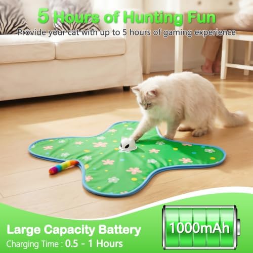 Interactive Cat Toys for Indoor Cats, Rechargeable Hide & Seek Toy