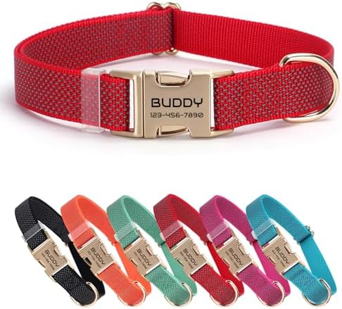 Personalized Reflective Nylon Dog Collar with Name, Red