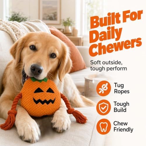 Tough Dog Toys for Aggressive Chewers (Black Bat)
