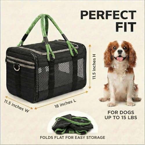 Soft-Sided Pet Carrier, Black Green, 19.7 x 11.8 x 11.4 in