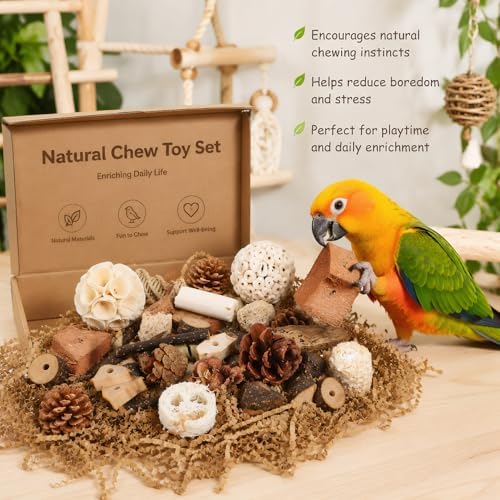 NOLITOY Natural Bird Toys for Conures: Parakeet Toys Parrot Foraging Wood Chewing Blocks & Hanging Bell Pendant Stick, Parrot Foraging Interactive Bundle for Macaw Small-Medium Birds
