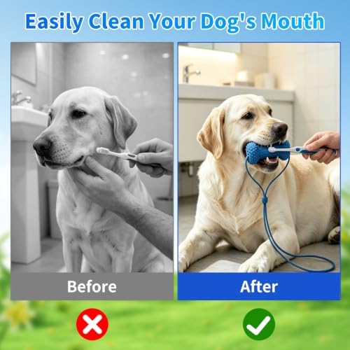 Dog Teeth Cleaning Chew Toy Dental Brush Bone