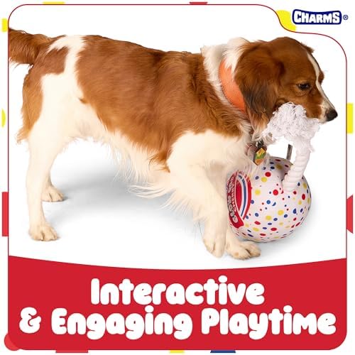 Blow Pop Plush & Rope Dog Toy – Scented Squeaky Plush with Durable Rope Stick – Tug, Fetch & Chew Toy for Dogs – Available in Jumbo & Medium Sizes – Apple, Cherry, Grape & Watermelon