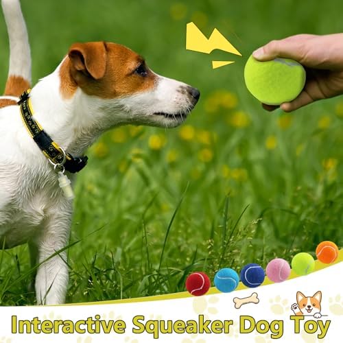 Swingers Squeaky Tennis Balls for Dog, 2.5 Inch Training Tennis Balls