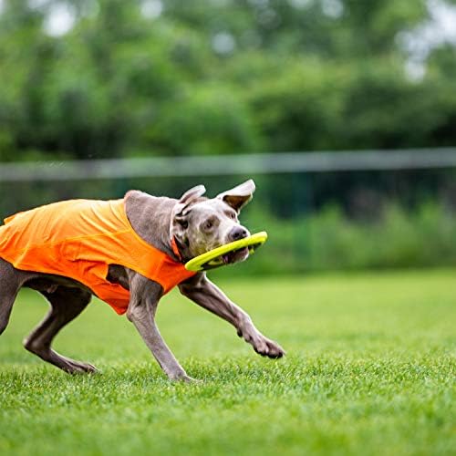 SKIPDAWG Dog Flying Disc Tug Toys 2 Pack, Light Fetch Toy for Outdoor Play