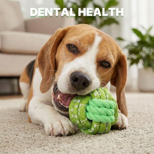Dog Ball Green, Braided Dog Rope Ball, Dog Chew Toys for Small, Medium Dogs