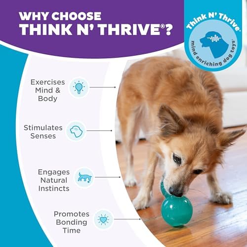 Outward Hound Double-Tuff Stuffable Dog Toy, Medium Blue, 3.9" x 2.5" – Treat Dispensing Chew Ball for Small to Medium Dogs, Interactive Puzzle Toy for Enrichment & Slow Feeding