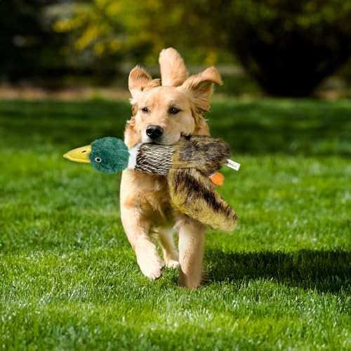 Large Squeaky Dog Toys, Tough Plush Squeaky Duck Dog Toy with 3 Sounds to Keep Them Busy, Interactive Filled Chew Toys for Small Medium and Large Dogs