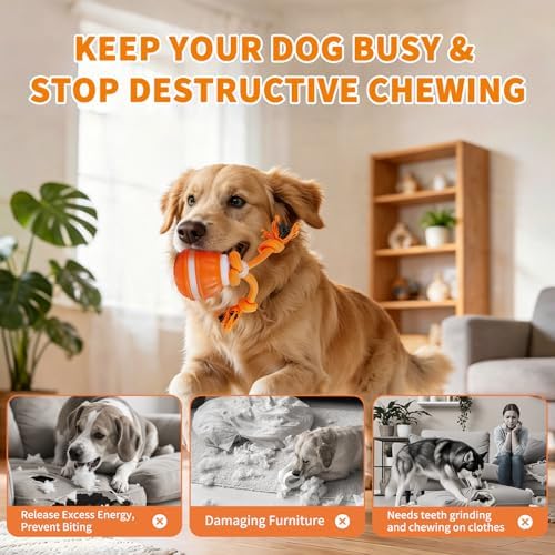 Dog Toys, Interactive Dog Toys, Automatic Interactive Dog Ball, 3 Modes Motion Activated Dog Balls for Medium Large Dogs, Type-C Rechargeable & Bite-Resistant (Orange01)