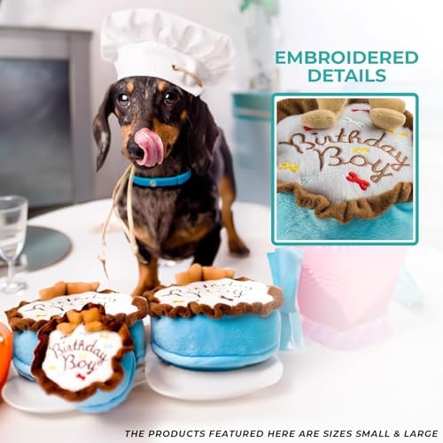 Haute Diggity Dog Birthday Boy Cake Plush Dog Toy, Funny Stuffed Dog Toy