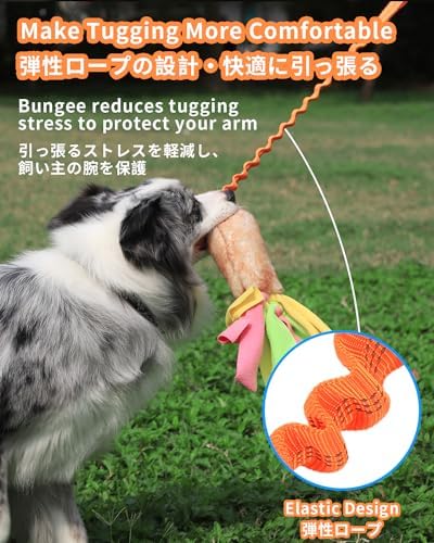 SCHITEC Dog Tug Toy, Bungee Tug of War Rope Toys with Squeaky Sound for Exercise & Interactive Play Games, Puppy Training Pull Toy for Small Medium Large Dogs