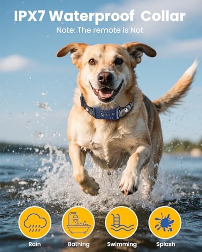 Wireless Dog Fence, Electric Fence for Dogs,Training Collar with Remote Control 3800FT Range, Portable Dog Perimeter Collar with 3 Training Mode Flash Light & Waterproof for 2 Dogs BL