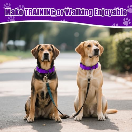 Martingale Dog Collar, Reflective No Pull with Buckle, Purple, L