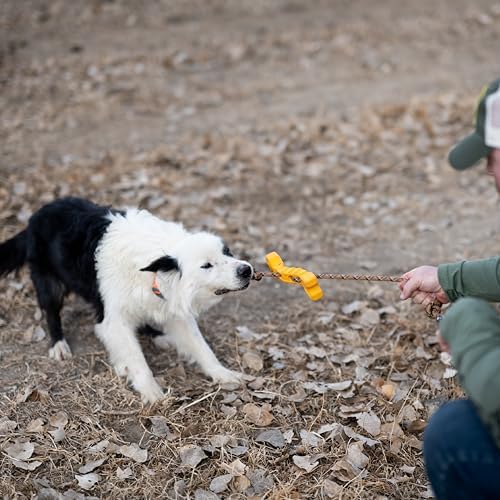 Browning Bone Tugger Toy Browning Gold