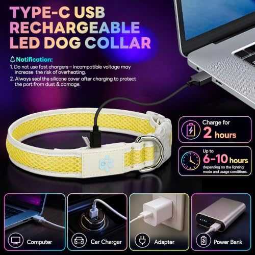 Multicolor LED Dog Collar USB-C Rechargeable, Light Up Dog Collar, Rainbow Gradient Glowing Dog Collar with 4 Light Modes, Adjustable Candy Mesh Pet Collar(Yellow, Medium)