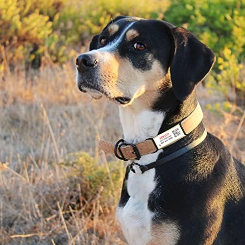 QR Code Dog Tag, Silent Slide-On Pet ID Name Tag for Dogs, Cats & Horses – Custom Personalized Noiseless Tag with Jingle-Free Fit & Online Profile Display