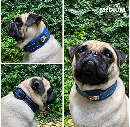 Tuff Pupper Ultra Comfort Padded Dog Collar | Thick Neoprene Padding | Ballistic Nylon Strap Dog Collar with Reflective Stitching | Durable Metal Buckle & Integrated ID Tag Holder | Waterproof Collars