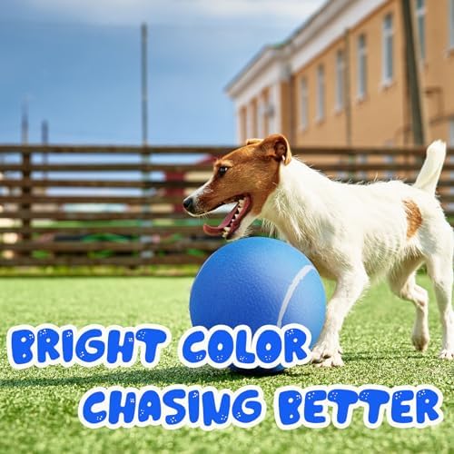 Banfeng Big Tennis Ball for Dogs, Giant Dog Tennis Ball Toy Large Outdoor Sports Gift for Small Medium Large Dog (Blue, 9.5 inch)