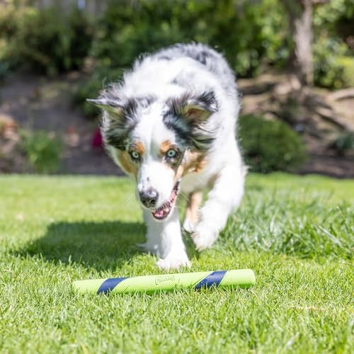 Chuckit! Peanut Butter Sniff Fetch Stick Dog Toy, 12in Length, 1 Pack