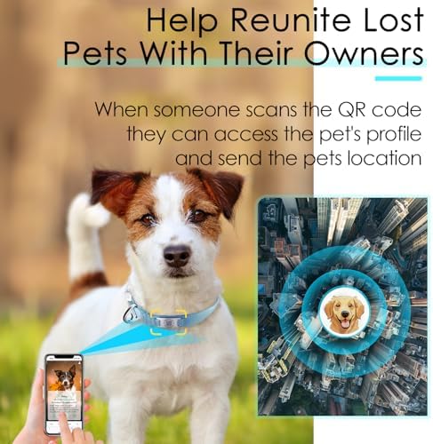 ADVENTUREMORE Smart ID Tag QR Code Nylon Dog Collar - Prevents Small, Medium, Large Dogs from Getting Lost at Night, Displays Owner and Pet Details - Durable, Adjustable, Thick-Teal-Small
