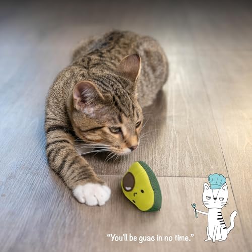 Catstages Lil' Avocato Cat Toy, Interactive Plush Avocado with Catnip, Kicker & Chew Toy for Indoor Cats, Encourages Active Play, Mental Stimulation, Dental Health, and Solo Fun, Green (Pack of 2)