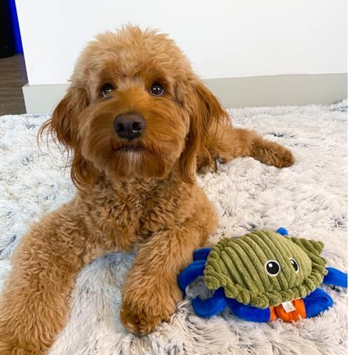 Tall Tails Plush Animated Moving Toy for Dogs, Crab