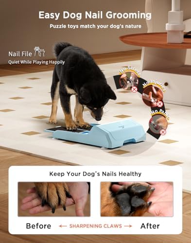 Dog Nail File Toy with 2 Dog Treat Puzzle