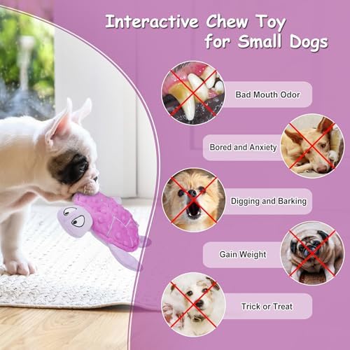 Squeaky Sea Turtle Plush Dog Toy - Durable, No Stuffing (Purple)