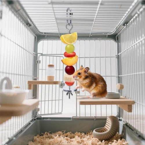 2 Pcs Rat Enrichment Toys - 304 Stainless Steel Rat Foraging Toy, Fruit & Vegetable Holder for Mice, Rats Cage Accessories Hanging Rodent Slow Feeder Puzzle Toy Parakeet Foraging Tool Rats Toys