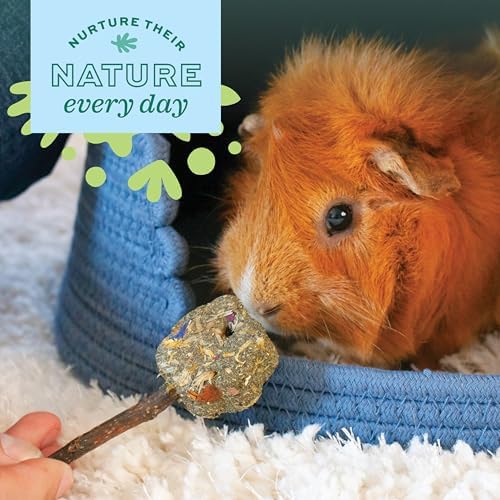 Oxbow Crazy Hay Ball, Rabbit & Guinea Pig Toys, Bunny Enrichment Toys