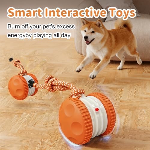 Interactive Dog Toys, Automatic Rolling Ball with Rope, Orange