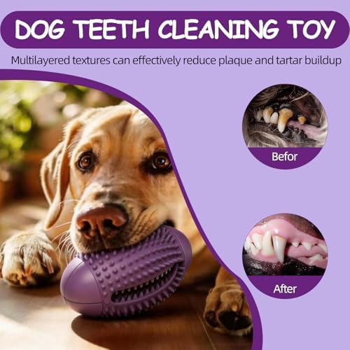Natural Rubber Squeaky Dog Chew Toy for Aggressive Chewers