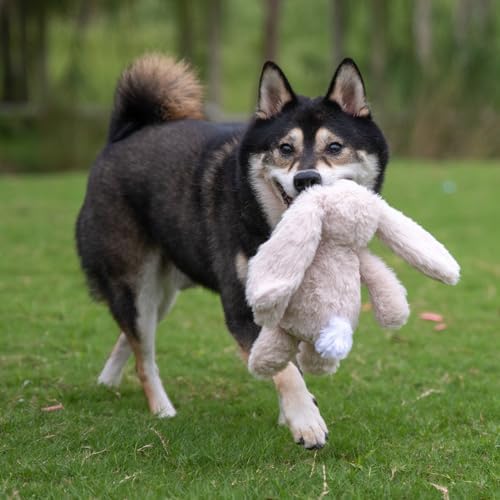 Best Pet Supplies Bunny Buddy Squeaky Plush Dog Toy - Beige, Small | Soft Plush, Squeaks & Crinkles, Perfect for Moderate Chewers, Toss & Fetch Play, Stress & Anxiety Reliever, Ideal Gift Toy